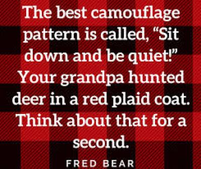 Bear Quote